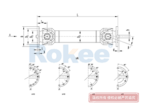 SWC-WH Universal Coupling,Cardan Shaft Coupling Customized