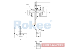 WGP Drum Gear Coupling,Tooth Gear Couplings Calculation