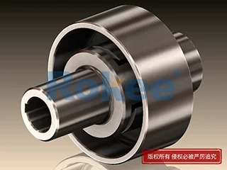 LMZ-Ⅰ四爪联轴器厂家,LMZ-Ⅰ四爪联轴器生产厂家
